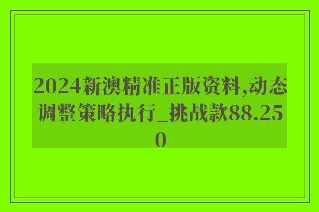 2024新澳精准正版资料,动态调整策略执行_挑战款88.250